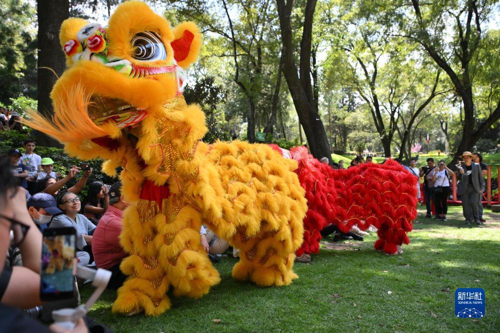 微乐斗地主电脑版下载安装包